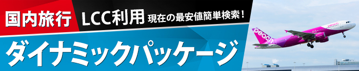 LCCで行く 国内ダイナミックパッケージ